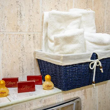 Hotel Alegro 3*