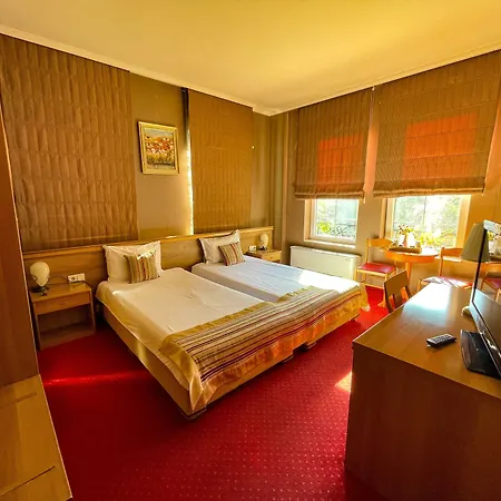 Alegro Hotel 3*