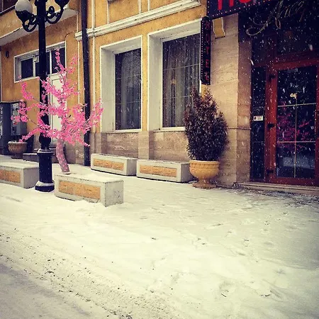 Hotel Alegro